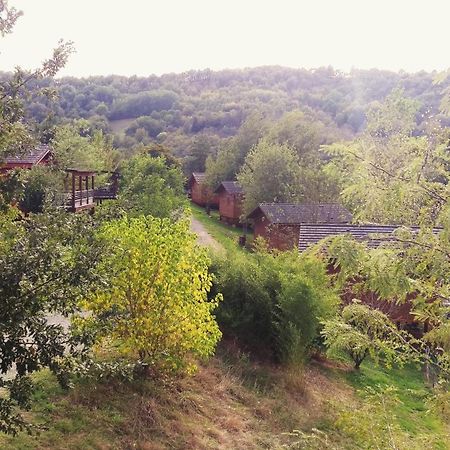 La Ferme Du Duzou Villa Saint-Cyprien-sur-Dourdou Dış mekan fotoğraf