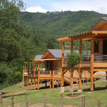 La Ferme Du Duzou Villa Saint-Cyprien-sur-Dourdou Dış mekan fotoğraf