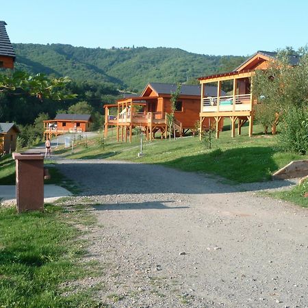 La Ferme Du Duzou Villa Saint-Cyprien-sur-Dourdou Dış mekan fotoğraf