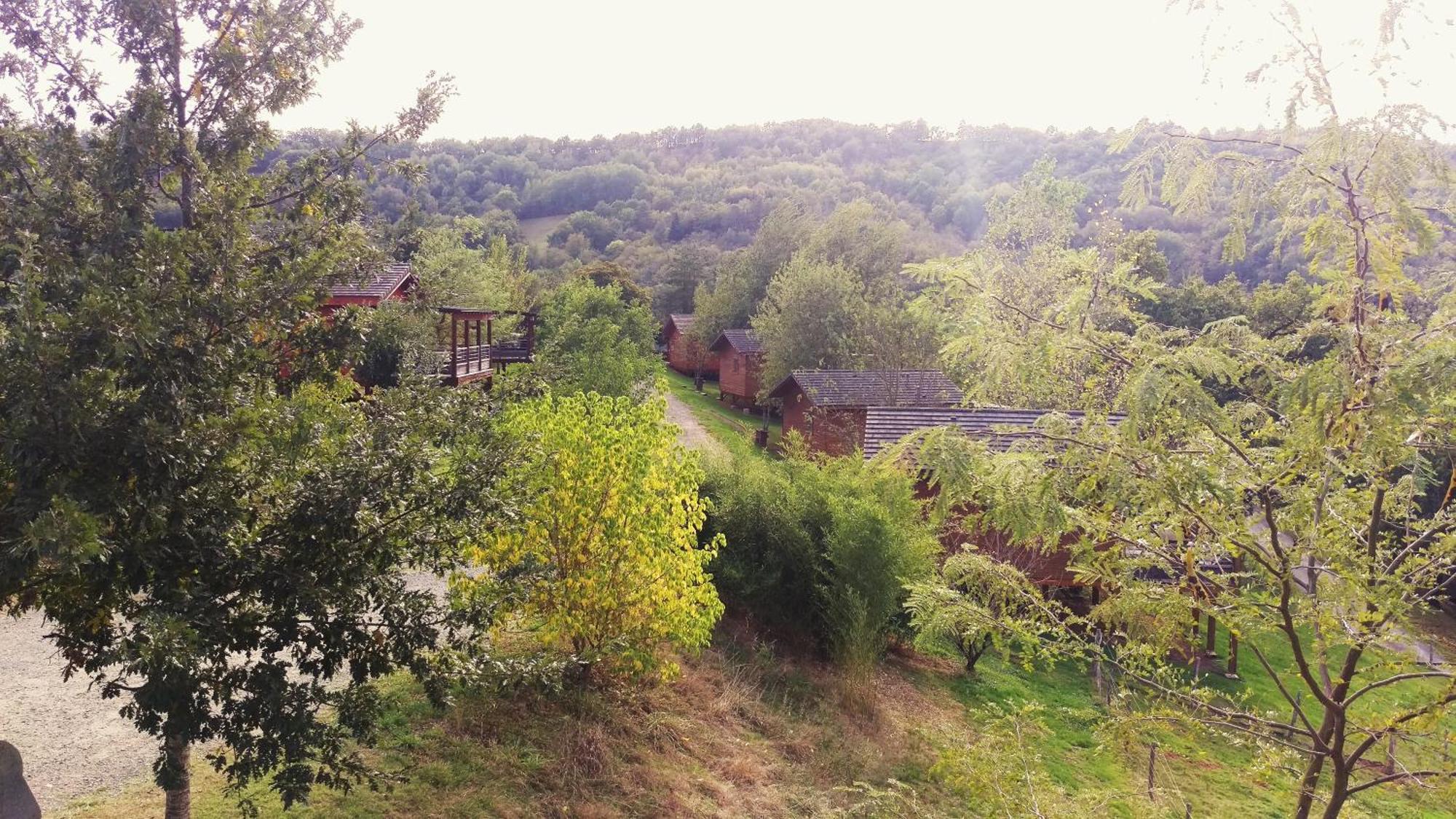 La Ferme Du Duzou Villa Saint-Cyprien-sur-Dourdou Dış mekan fotoğraf