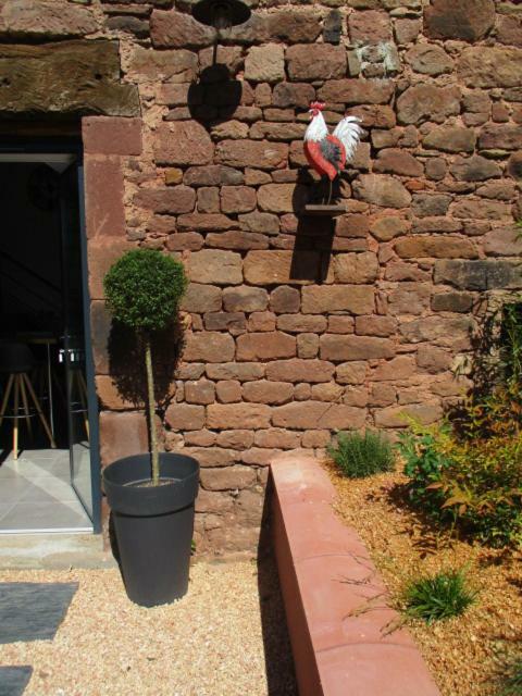 La Ferme Du Duzou Villa Saint-Cyprien-sur-Dourdou Dış mekan fotoğraf
